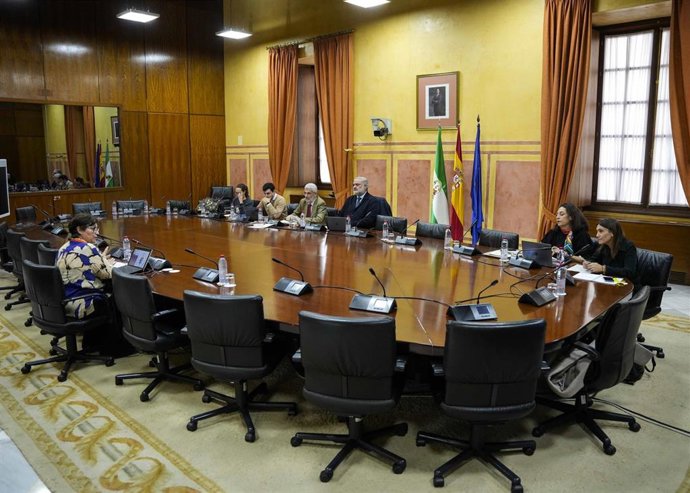 Archivo - Sesión del grupo de trabajo relativo a la lucha contra la violencia de género constituido en el Parlamento andaluz. (Foto de archivo).