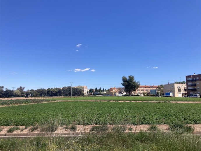 Per l'Horta denuncia el proyecto del Ayuntamiento de Vinalesa que "busca urbanizar tierras agrícolas en uso"