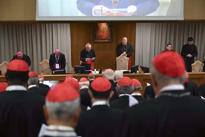 Rome, ITALY: Italy, Rome, Vatican,28-04-2025 5th General Congregation Cardinals.Photograph by Vatican Media  / Catholic Press Photo.RESTRICTED TO EDITORIAL USE - NO MARKETING - NO ADVERTISING CAMPAIGNS,Image: 993023499, License: Rights-managed, Restrictio