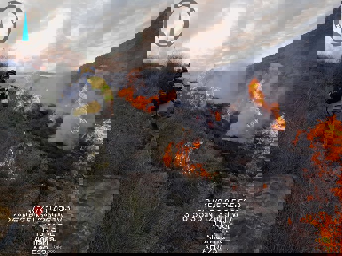 Intervención de Infoca durante la pasada tarde.