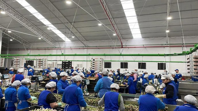 Trabajadores en Cosafra.