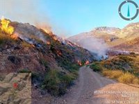 Unos veinte desalojados en Gádor por el incendio forestal de Huércal de Almería, en el que trabajan más de 150 efectivos
