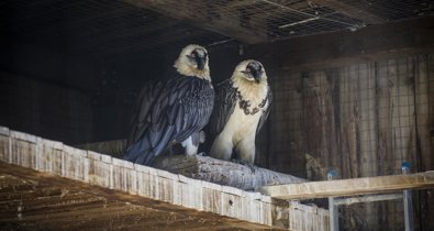 Es Andalucía - Jaén