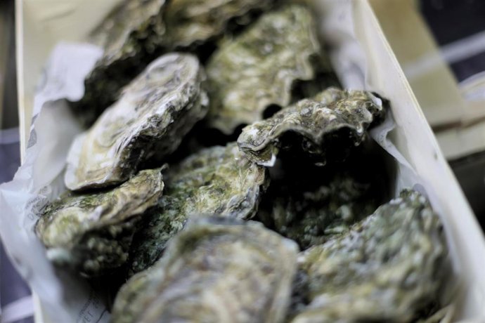 Archivo - Ostras en un stand durante el día de apertura de Madrid Fusión 2021 en Feria de Madrid IFEMA, a 31 de mayo de 2021, en Madrid (España). 