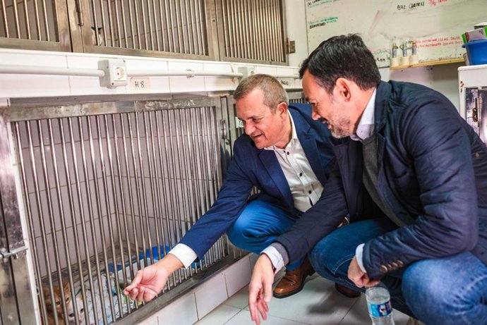 El Cabildo de Tenerife destina 400.000 euros en ayudas a la actividad de protectoras animales en la isla