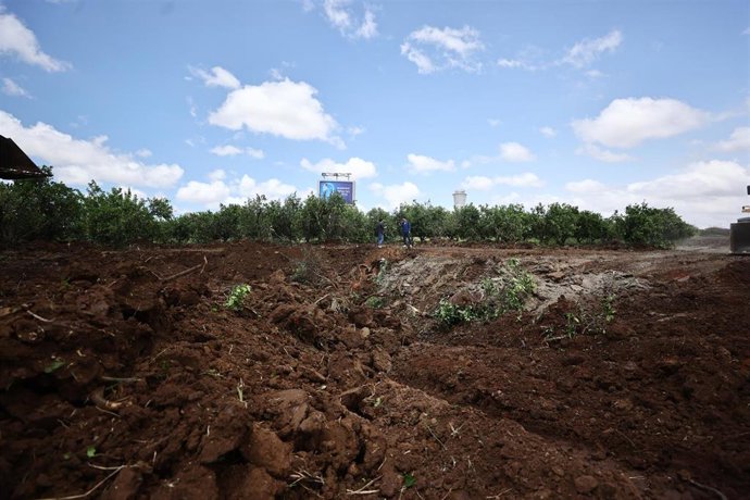 Lugar del impacto del misil de los hutíes en el aeropuerto internacional de Ben Gurión en Tel Aviv, Israel