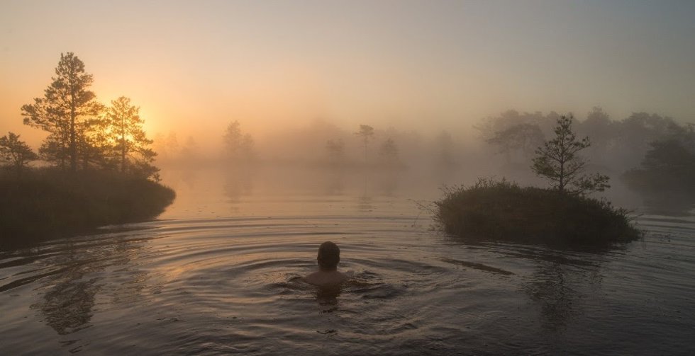 Cinco experiencias auténticas para disfrutar de la Estonia más sostenible