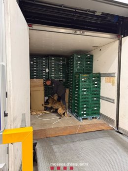 Imatge de l'operatiu policial