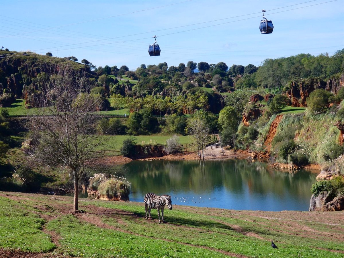 Éxito turístico en Cantabria: récord de visitantes en Cabárceno, Fuente Dé y El Soplao