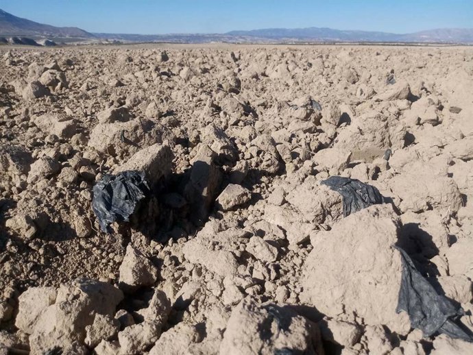 Archivo - Desechos plásticos en suelo agrícola de Baza (Granada).