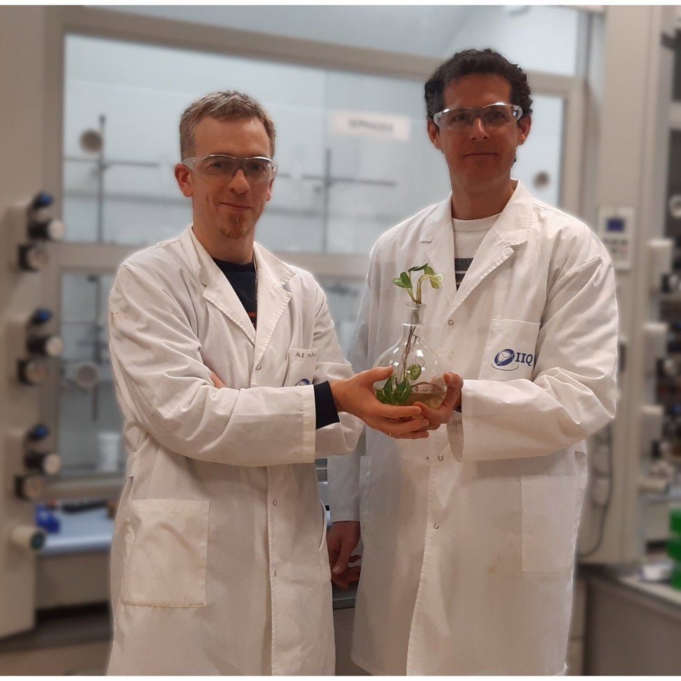 El Instituto de Investigaciones Químicas da forma a un proyecto que promueve la sostenibilidad en investigación química.