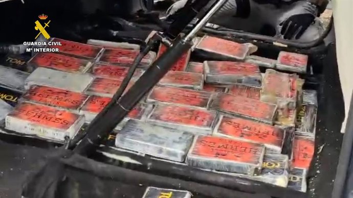 Dogra localizada durante una operación de la Guardia Civil de Huelva.