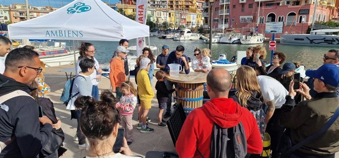 Caballitos de mar Alboraya