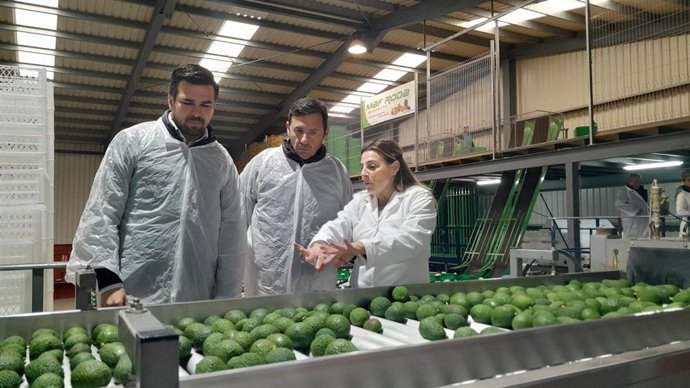 Archivo - El delegado territorial de Agricultura, Pesca, Agua y Desarrollo Rural en la provincia de Cádiz, Francisco Moreno, y el subdelegado de la Junta de Andalucía en el Campo de Gibraltar, Javier Ros, en una visita a una cooperativa del Campo de Gibra