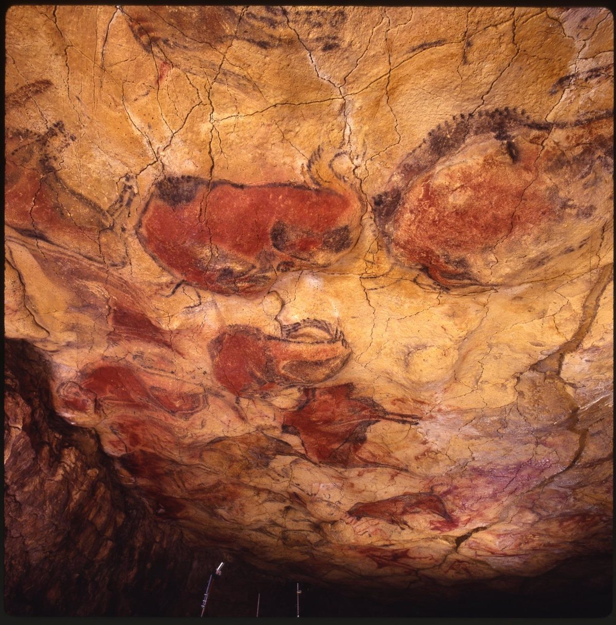 Nuevas dataciones confirman el primer arte rupestre de Altamira en hace más de 32.000 años