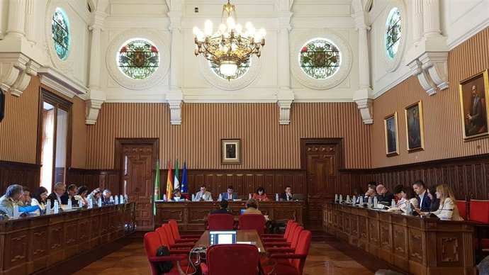 Pleno ordinario de la Diputación de Jaén.