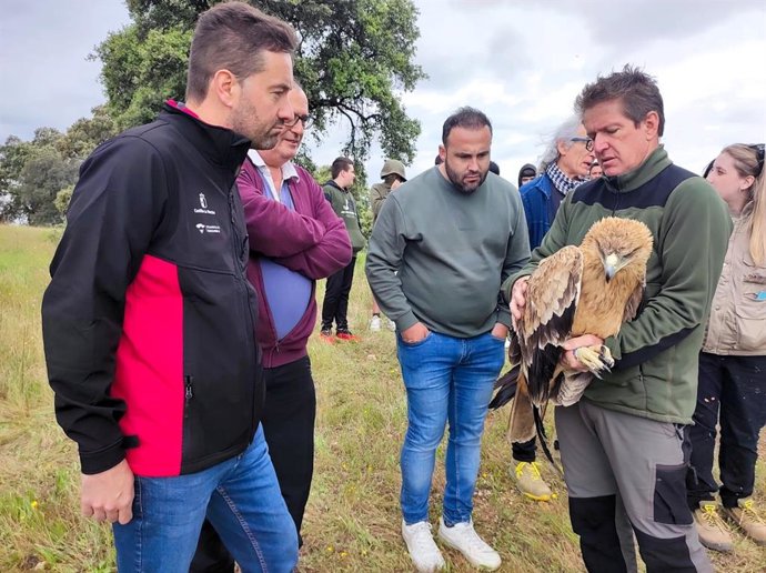 Devuelven a su hábitat natural otra águila imperial en la provincia de Toledo