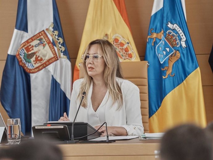 Dávila Observes Tenerife and Martín’s (PSOE) Disappointing Advertisements Taking Shape Dávila Observes Tenerife and Martín’s (PSOE) Disappointing Advertisements Taking Shape