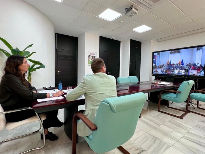 López participando por videoconferencia en la Conferencia Sectorial extraordinaria de Infancia y Adolescencia -. Firma: AHER .-