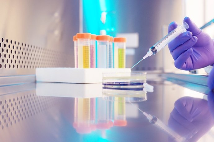Archivo - Microbiologist.