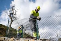 Galicia gana más de 8.000 afiliados a la Seguridad Social en abril