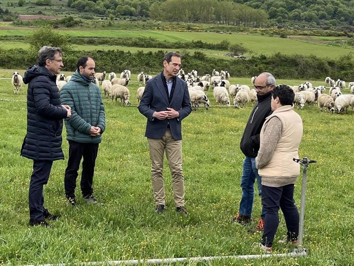 El director general visita una explotación de ovino ecológico.