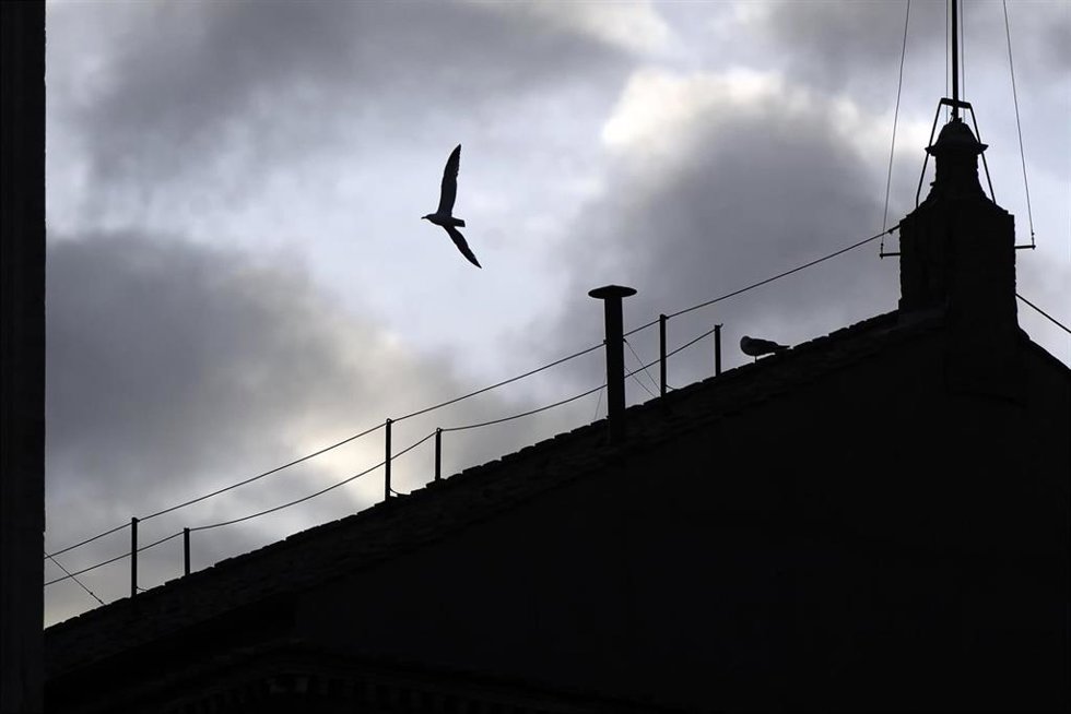 Una gaviota vuela junto a la chimenea por la que saldrá la fumata blanca.