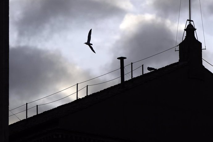 May 3, 2025, Vatican City, ITALY: A chimney pot installed on the roof of the Sistine Chapel, ahead of the conclave to choose a new pope, in Saint Peter's Square, in Vatican City, 03 May 2025. ANSA/ANGELO CARCONI,Image: 994884936, License: Rights-managed, 