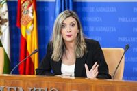 PSOE-A afea que la Junta pida "más recursos" al Gobierno mientras "no gasta todo" el que recibe para menores migrantes