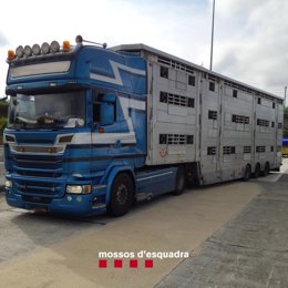 Camión detenido en la AP-7 en Aiguaviva (Girona).