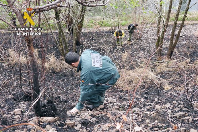 Archivo - Una agente de la Guardia Civil investigando un incendio forestal.