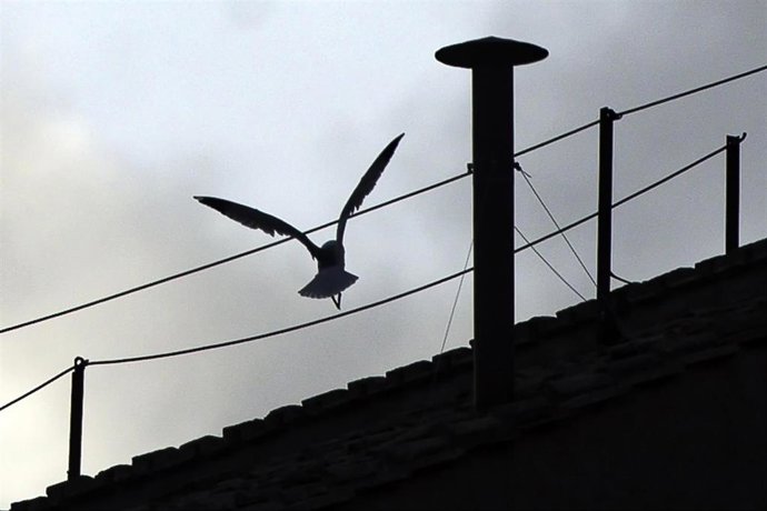May 3, 2025, Vatican City, ITALY: A chimney pot installed on the roof of the Sistine Chapel, ahead of the conclave to choose a new pope, in Saint Peter's Square, in Vatican City, 03 May 2025. ANSA/ANGELO CARCONI,Image: 994884930, License: Rights-managed, 