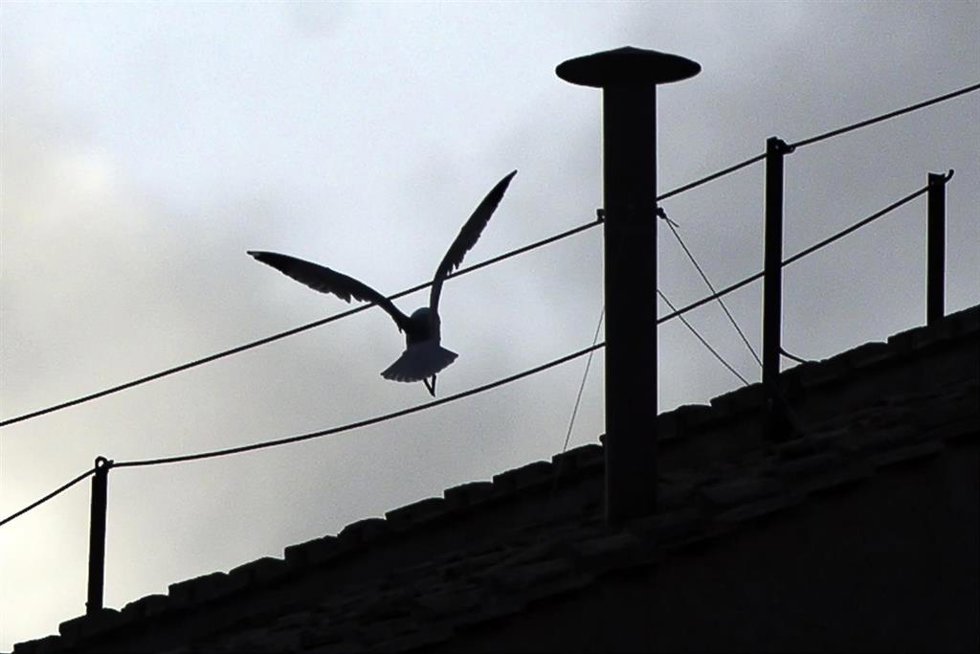May 3, 2025, Vatican City, ITALY: A chimney pot installed on the roof of the Sistine Chapel, ahead of the conclave to choose a new pope, in Saint Peter's Square, in Vatican City, 03 May 2025. ANSA/ANGELO CARCONI,Image: 994884930, License: Rights-managed