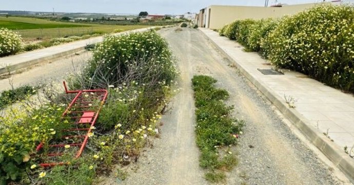 Zona de El Pastral de Rociana del Condado (Huelva)