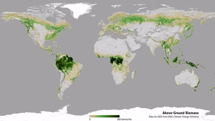 Registro global de satélites de biomassa de 2022