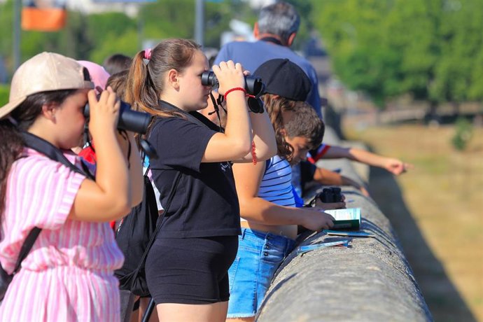Archivo - Menores participan en las actividades del Mes de las Aves en Mérida