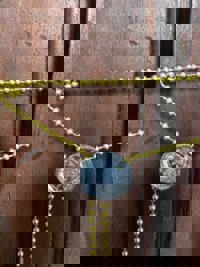 Clausuran los accesos al Palacio Apostólico a través de un sello con la inscripción 'Cónclave' y '2025'