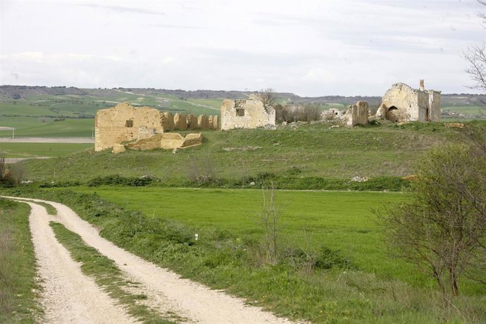 Camino de la Dehesa de Villaviudas (Palencia).
