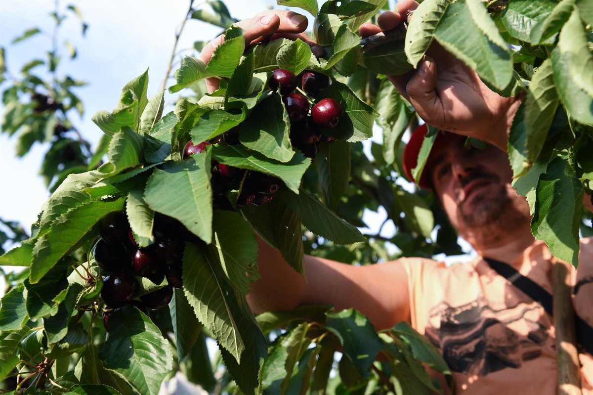 Agricultura convoca ayudas para programas plurirregionales de formación en el medio rural por casi 2 millones