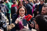 PSOE presentará una comisión de investigación por el atropello que implica al coche del director de Policía Municipal