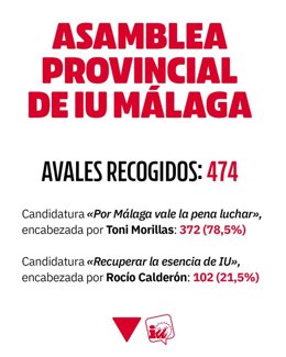 Tras esta primera fase los próximos hitos consistirán en la celebración de una asamblea para el debate de los documentos políticos y la elección de los delegados y delegadas malagueños que participarán en la asamblea andaluza.