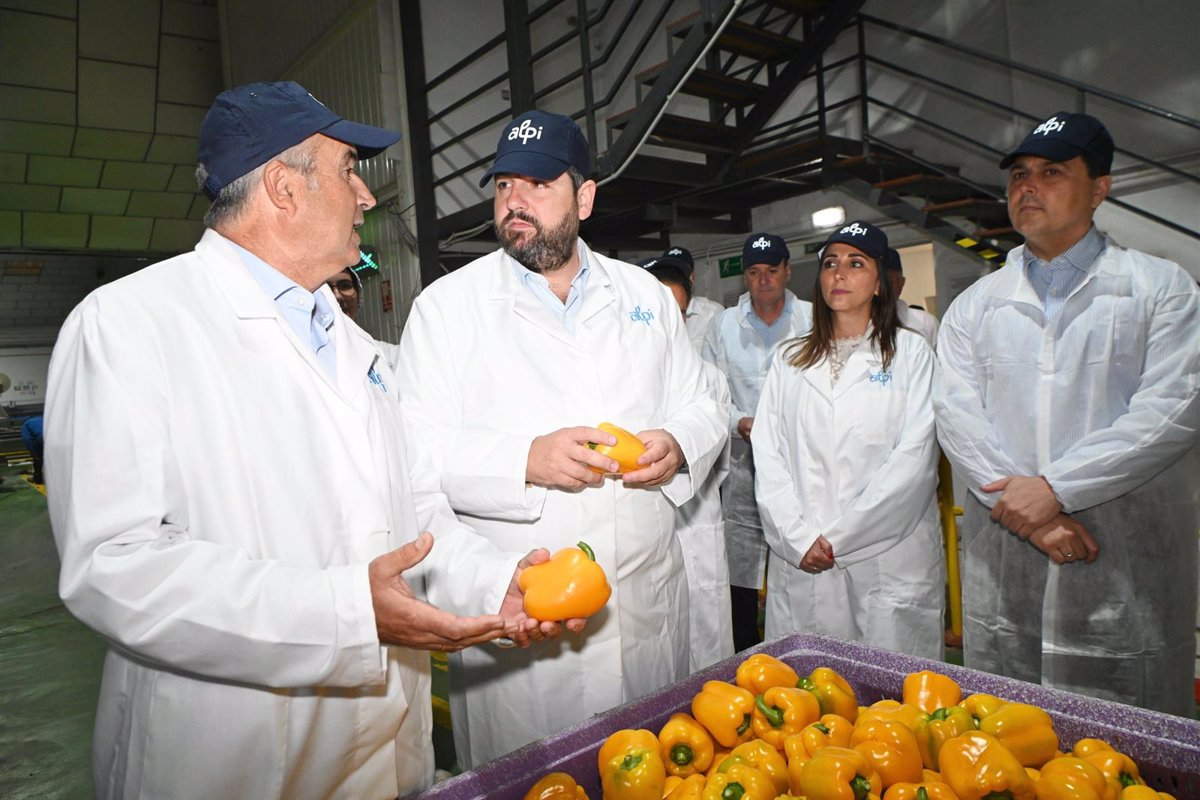 Las Organizaciones de Productores de Frutas y Hortalizas reciben este año 89,7 millones para mejorar su competitividad