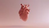 Foto: Cardioalianza lanza una campaña para dar a conocer las enfermedades relacionadas con la insuficiencia cardiaca