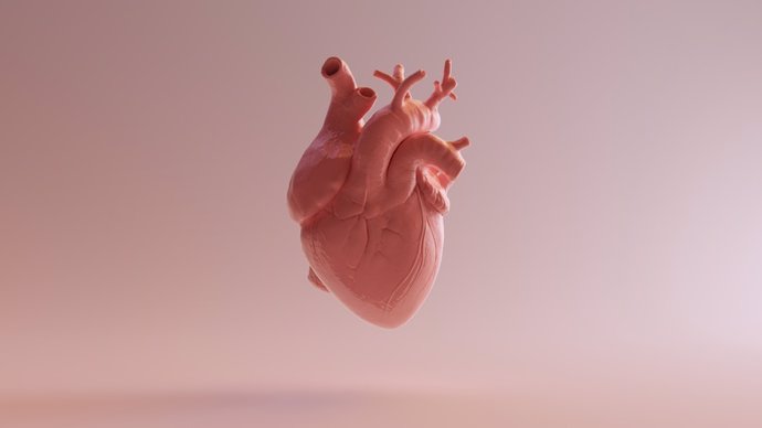 Archivo - Imagen de archivo de la representación de un corazón.