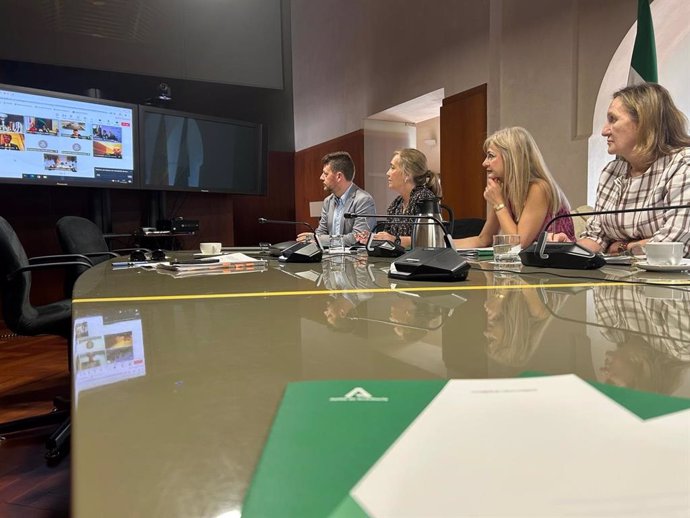 La consejera andaluza de Cultura y Deporte, Patricia del Pozo, participa de forma telemática en la Conferencia Sectorial de Cultura.