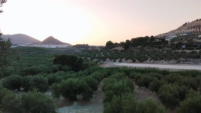 Archivo - Imagen de archivo de los trabajos en la parcela donde se construyó la planta de secado de estiércol