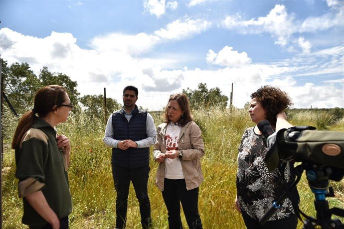 Patricia Navarro ha celebrado que "hoy podemos volver a ver flamencos en esta laguna ocupando ya para su reproducción todos los territorios disponibles para la cría, incluidas las dos islas más interiores que fueron restauradas el pasado verano".