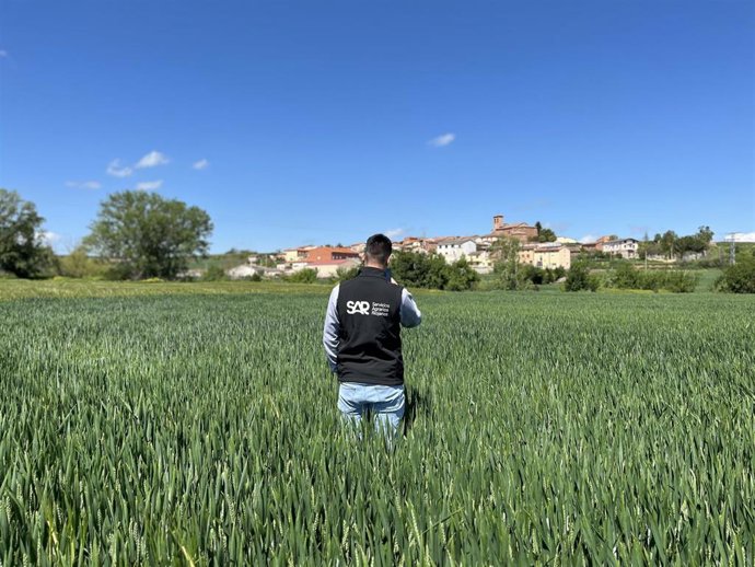 El proyecto CERES avanza en el desarrollo de la aplicación con los datos de más de 300 hectáreas de cereal