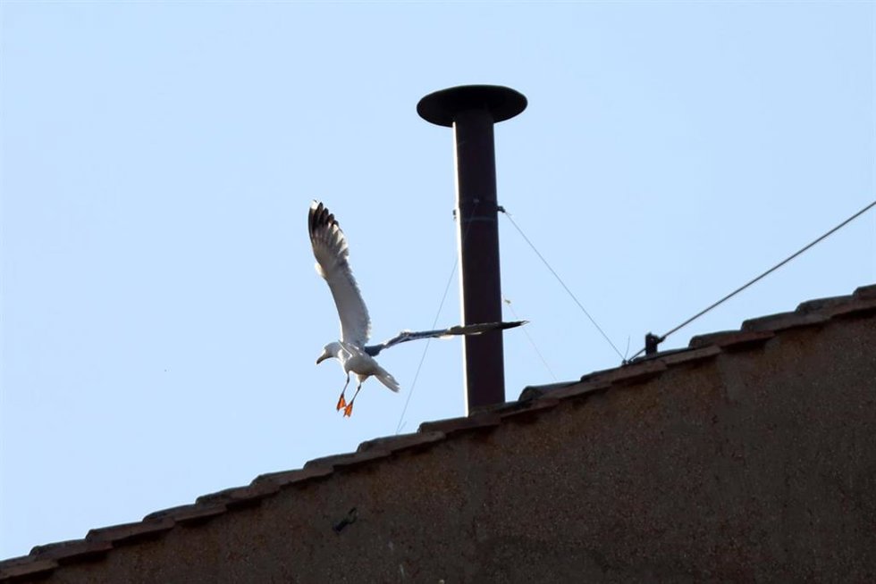 La chimenea en el tejado de la Capilla Sixtina 