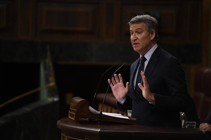 El presidente del PP, Alberto Núñez Feijóo, interviene durante una sesión plenaria, en el Congreso de los Diputados, a 7 de mayo de 2025, en Madrid (España).